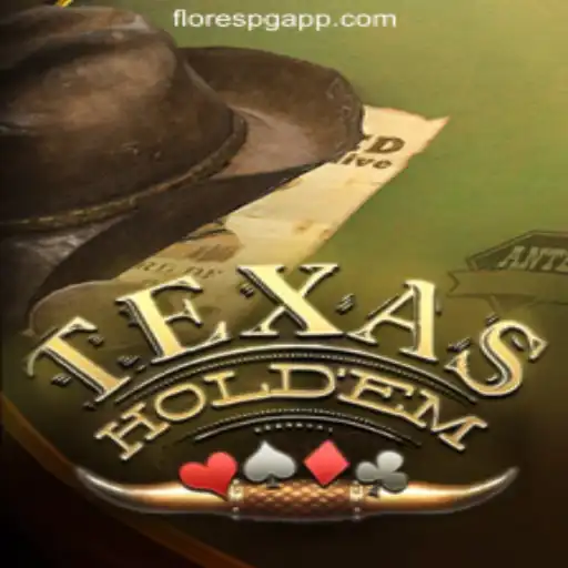 TexasHoldem: Understanding the Classic Card Game
